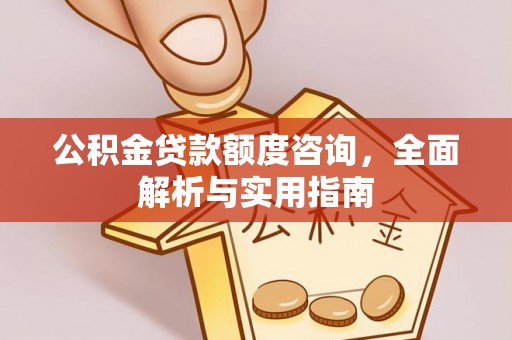 运河公积金贷款额度咨询，全面解析与实用指南