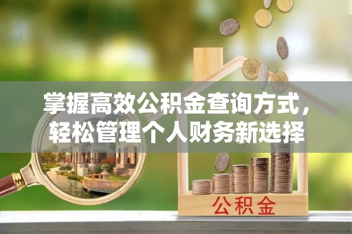 运河掌握高效公积金查询方式，轻松管理个人财务新选择