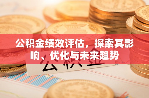运河公积金绩效评估，探索其影响、优化与未来趋势