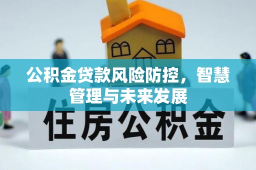 运河公积金贷款风险防控，智慧管理与未来发展