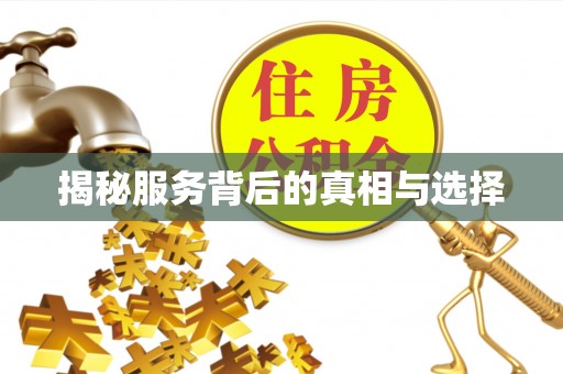 运河揭秘服务背后的真相与选择